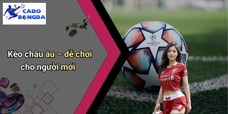 Cá Độ Bóng Đá