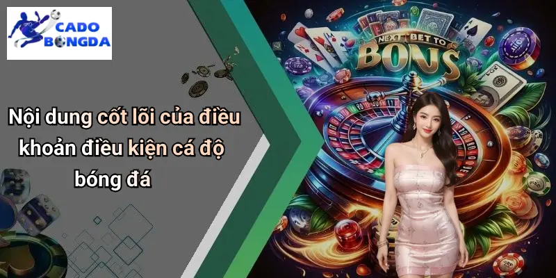 Điều Khoản Điều Kiện 2 Điều Khoản Điều Kiện