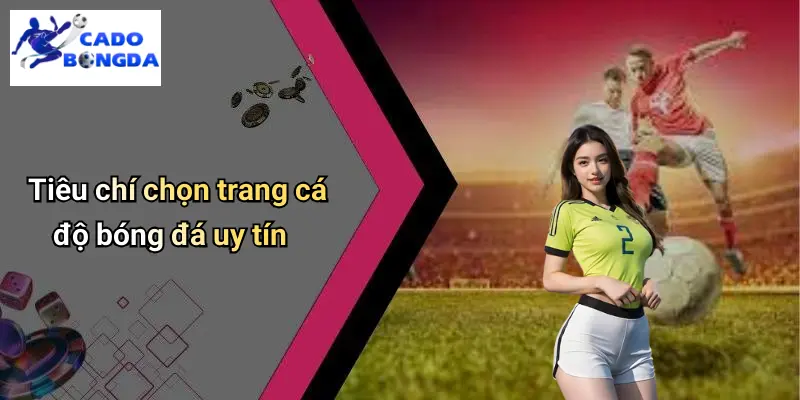 Cá Độ Bóng Đá