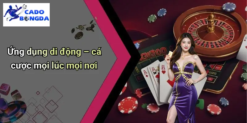 Cá Độ Bóng Đá