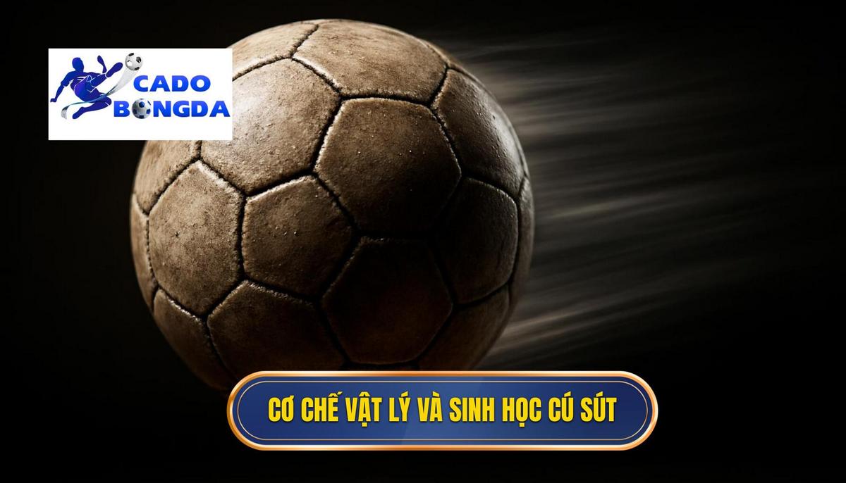 Cơ chế vật lý và sinh học của Cú sút Mũi Giày