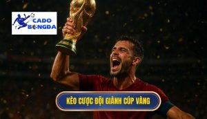 Kèo cược đội giành cúp vàng