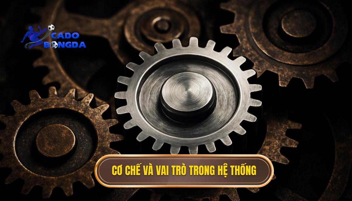 Cơ chế vận hành và vai trò của các vị trí trong hệ thống