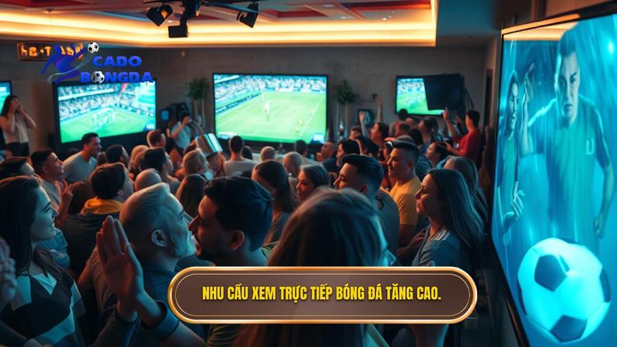 Nhu cầu xem trực tiếp bóng đá tăng cao.