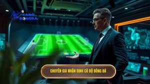 Nhận định bóng đá từ chuyên gia - Soi kèo chính xác tại CÁ ĐỘ BÓNG ĐÁ