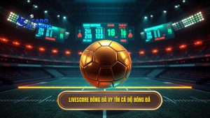 Livescore bóng đá hôm nay - Cập nhật tỷ số trực tuyến 24/7