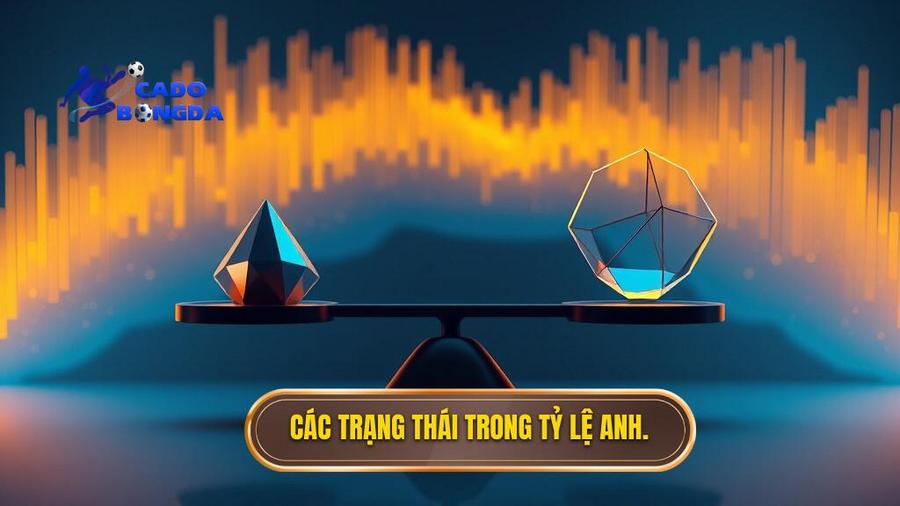 3. Các trạng thái trong tỷ lệ Anh.