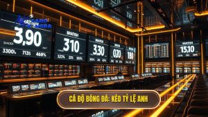 Cách Đọc Kèo Bóng Đá Theo Tỷ Lệ Anh